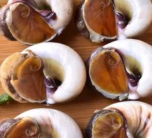 Fresh Fragrant Snail
