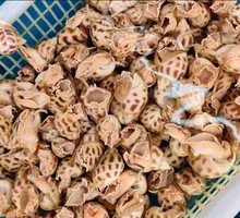 Tender Abalone