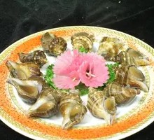 Spicy Little Sea Snail