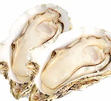 Rushan Oyster