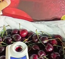 Regina Cherry