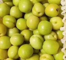 Xinjiang White Apricot