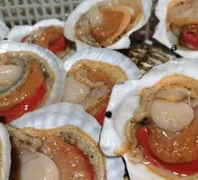 Large Scallop