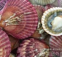 Fresh Small Red Clams
