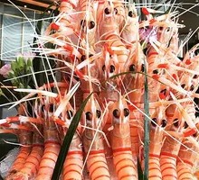 New Zealand Lobster