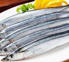Fresh Saury