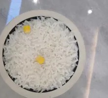 Delicious Rice