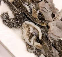 Fresh Tripe