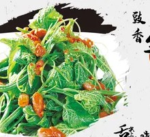 Braised Sponge Gourd Sprouts with Fermented Black Beans