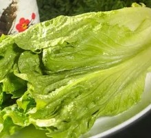 Lettuce