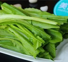 Oilseed lettuce