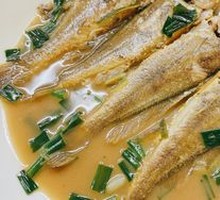 Yellow Croaker