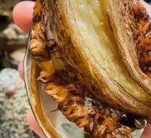Fresh Abalone
