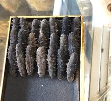Dried Dalian Sea Cucumber