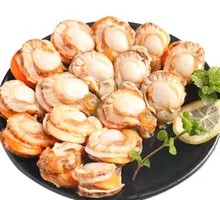 Frozen Scallops