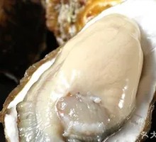 Fresh Giant Oysters