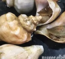 Fresh White Jade Snail