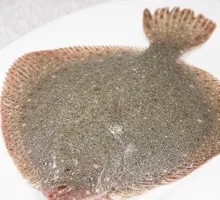 Fresh Pollock Fish