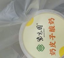 Creamy Milk Yogurt
