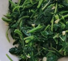 Cold-Pressed Wild Greens Salad