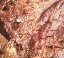 Roasted Lamb Leg