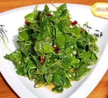 Mixed Wild Greens Salad