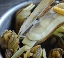 Hard Clam