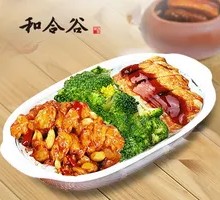Kung Pao Chicken with Sauce Chicken Rice