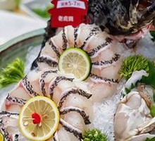 Deep-sea Grouper