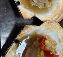 Scallop