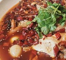 Premium Maoxuewang