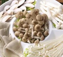 Mushroom Platter