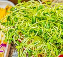 Live Mung Bean Sprouts