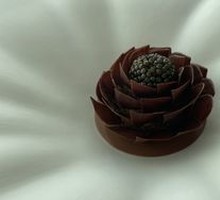 Guiana Chocolate Symphony