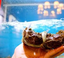 Yangcheng Lake Crab Gift Box