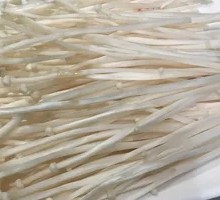 Enoki Mushroom