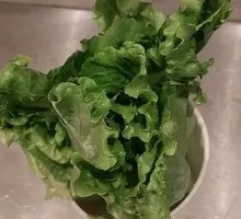 Organic Lettuce
