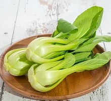 Oilseed lettuce