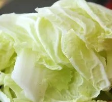 Napa cabbage