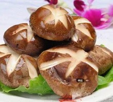 Shiitake Mushroom