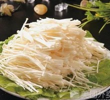 Enoki Mushroom