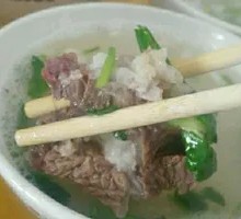 Goat Brain Slices