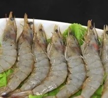 Fresh Shrimp