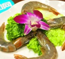 Large Shrimp
