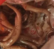 Signature Spicy Squid