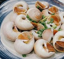 Saltwater Fragrant Snail