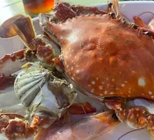 Scallion Oil Spider Crab