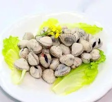Blood Clam