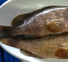 Steamed Stoneboard Fish