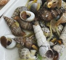 Salted Water Shellfish